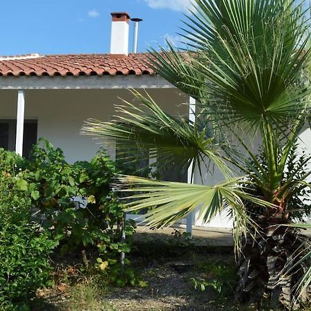 Litochoro Apartment In Estate A1 Esterno foto