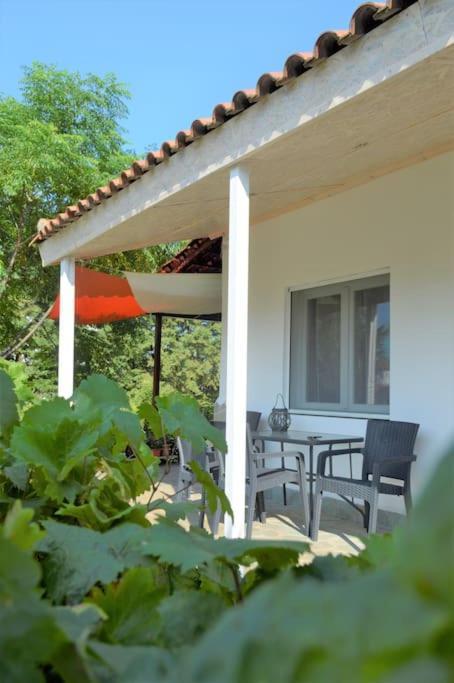 Litochoro Apartment In Estate A1 Esterno foto